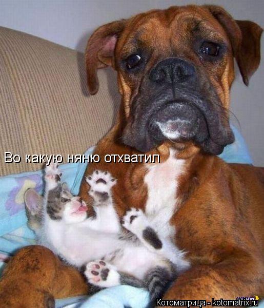 Во какую няню отхватил... Котоматрица: Во какую няню отхватил