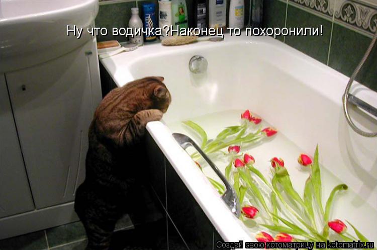 Ну что водичка?Наконец то похоронили!... Котоматрица: Ну что водичка?Наконец то похоронили!