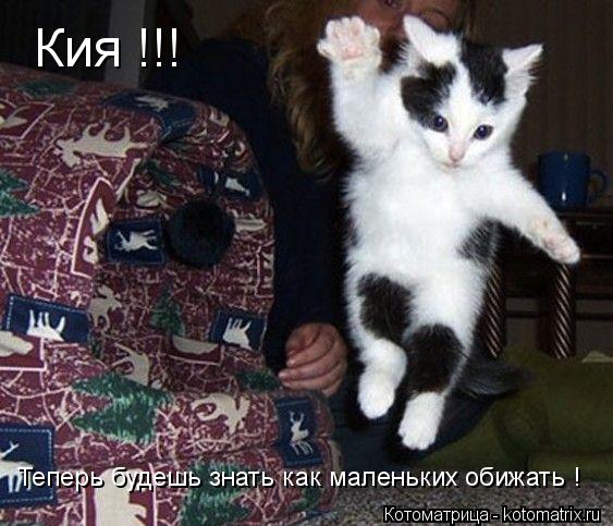 Кия !!! Теперь будешь знать как маленьких обижать !... Котоматрица: Кия !!! Теперь будешь знать как маленьких обижать !