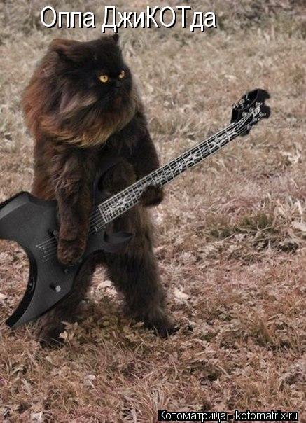 Оппа ДжиКОТда... Котоматрица: Оппа ДжиКОТда