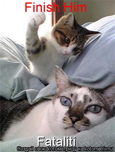 Finish Him Fataliti... Котоматрица: Finish Him Fataliti