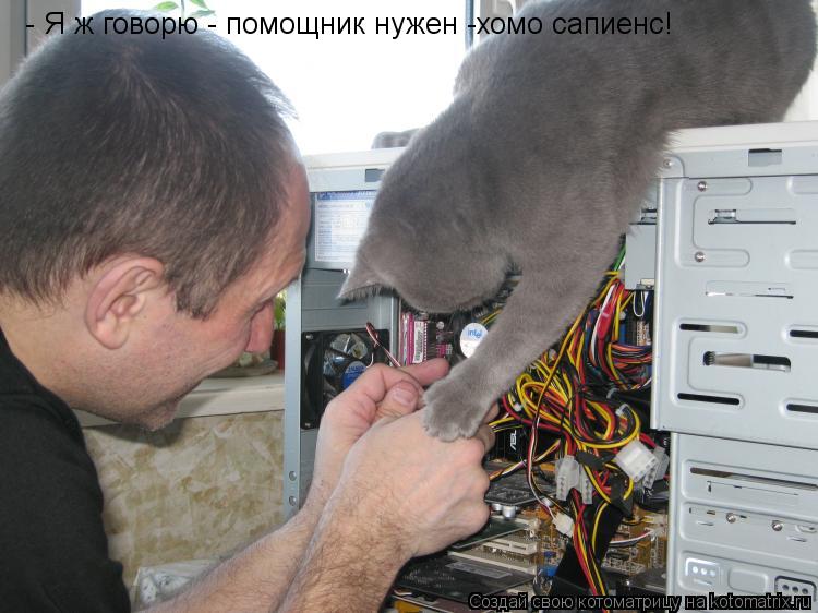 - Я ж говорю - помощник нужен -хомо сапиенс!... Котоматрица: - Я ж говорю - помощник нужен -хомо сапиенс!