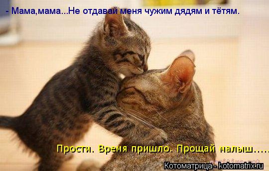 - Мама,мама...Не отдавай меня чужим дядям и тётям. Прости. Время пришло. Прощай малыш........ Котоматрица: - Мама,мама...Не отдавай меня чужим дядям и тётям. Прости. Время пришло. Прощай малыш.....
