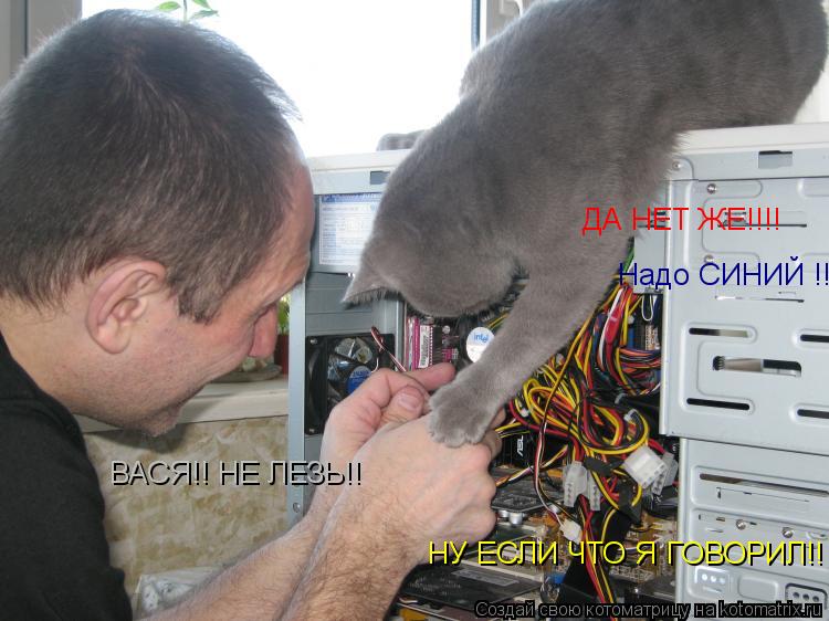 ДА НЕТ ЖЕ!!!! Надо СИНИЙ !!! ВАСЯ!! НЕ ЛЕЗЬ!! НУ ЕСЛИ ЧТО Я ГОВОРИЛ!!... Котоматрица: ДА НЕТ ЖЕ!!!! Надо СИНИЙ !!! ВАСЯ!! НЕ ЛЕЗЬ!! НУ ЕСЛИ ЧТО Я ГОВОРИЛ!!