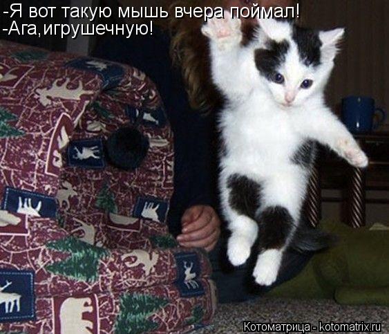 -Я вот такую мышь вчера поймал! -Ага,игрушечную!... Котоматрица: -Я вот такую мышь вчера поймал! -Ага,игрушечную!