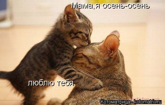 Мама,я осень-осень люблю тебя... Котоматрица: Мама,я осень-осень люблю тебя