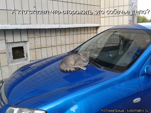 А кто сказал,что сторожить это собачье дело?... Котоматрица: А кто сказал,что сторожить это собачье дело?
