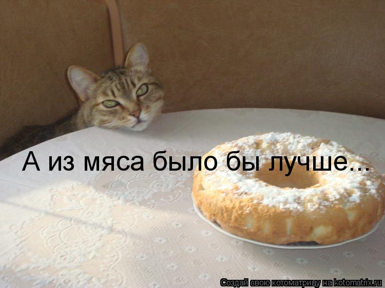 А из мяса было бы лучше...... Котоматрица: А из мяса было бы лучше...