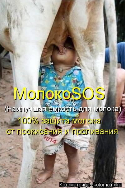 МолокоSOS 100% защита молока от прокисания и проливания (Наилучшая ёмкость для молока)... Котоматрица: МолокоSOS 100% защита молока от прокисания и проливания (Наилучшая ёмкость для молока)