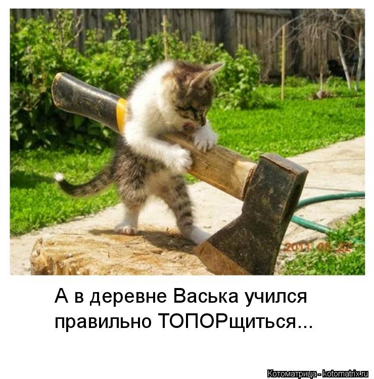 А в деревне Васька учился правильно ТОПОРщиться...... Котоматрица: А в деревне Васька учился правильно ТОПОРщиться...
