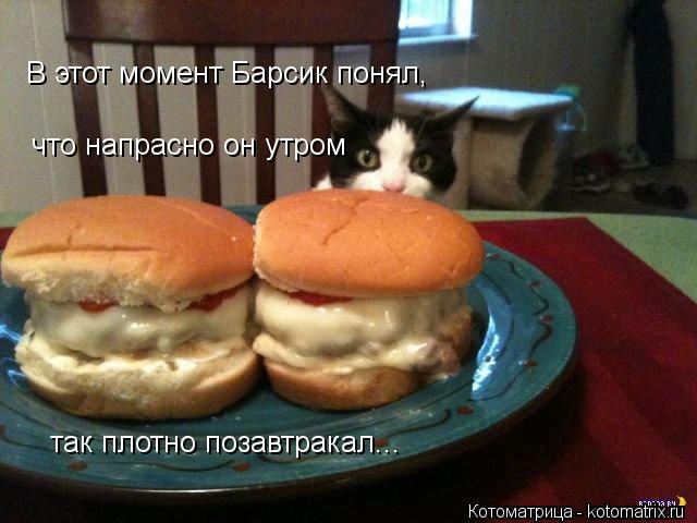 В этот момент Барсик понял, что напрасно он утром так плотно позавтракал...... Котоматрица: В этот момент Барсик понял, что напрасно он утром так плотно позавтракал...