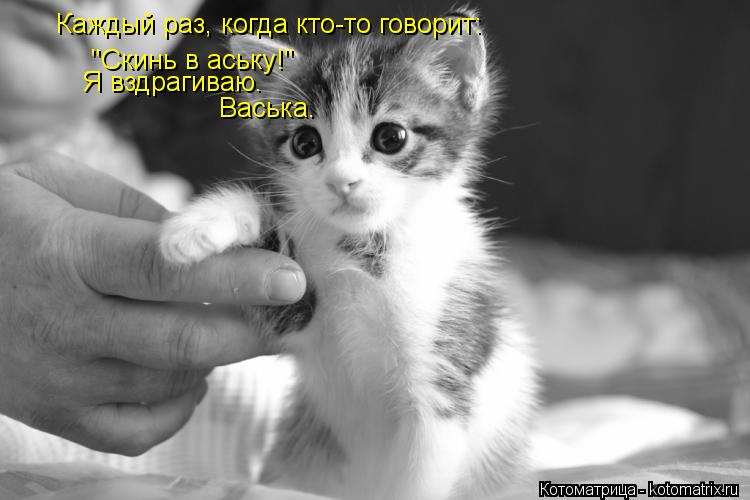 Каждый раз, когда кто-то говорит: "Скинь в аську!" Я вздрагиваю. Васька.... Котоматрица: Каждый раз, когда кто-то говорит: "Скинь в аську!" Я вздрагиваю. Васька.