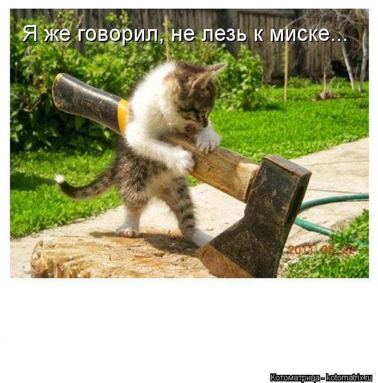 Я же говорил, не лезь к миске...... Котоматрица: Я же говорил, не лезь к миске...
