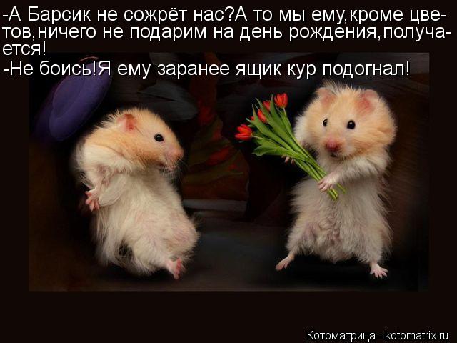 -А Барсик не сожрёт нас?А то мы ему,кроме цве- тов,ничего не подарим на день рождения,получа- ется! -... Котоматрица: -А Барсик не сожрёт нас?А то мы ему,кроме цве- тов,ничего не подарим на день рождения,получа- ется! -Не боись!Я ему заранее ящик кур подогнал!
