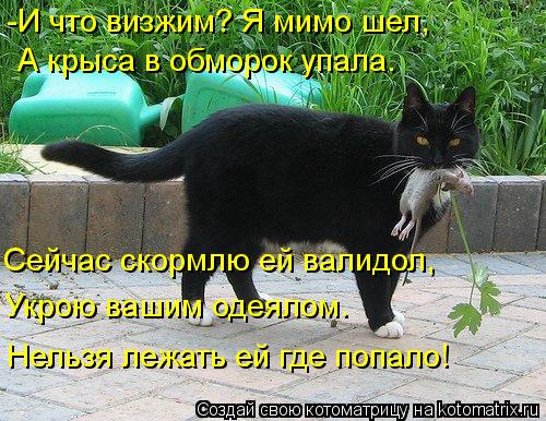-И что визжим? Я мимо шел, А крыса в обморок упала. Сейчас скормлю ей валидол, Укрою вашим одеялом. ... Котоматрица: -И что визжим? Я мимо шел, А крыса в обморок упала. Сейчас скормлю ей валидол, Укрою вашим одеялом. Нельзя лежать ей где попало!