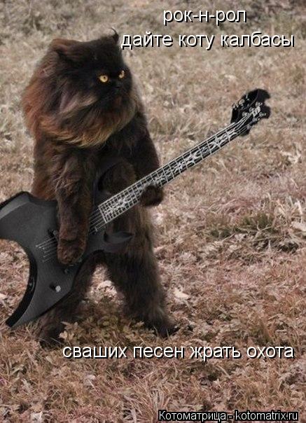 рок-н-рол дайте коту калбасы сваших песен жрать охота... Котоматрица: рок-н-рол дайте коту калбасы сваших песен жрать охота