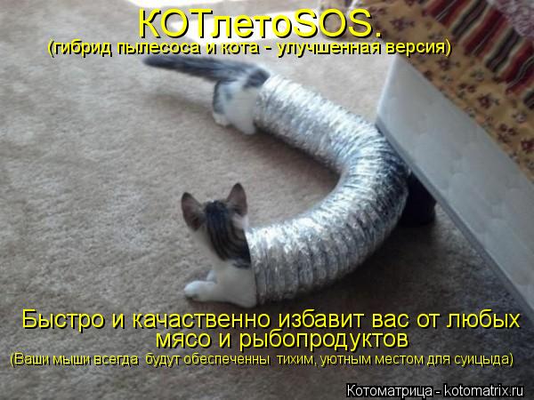 (гибрид пылесоса и кота - улучшенная версия) КОТлетоSOS. Быстро и качаственно избавит вас от любых ... Котоматрица: (гибрид пылесоса и кота - улучшенная версия) КОТлетоSOS. Быстро и качаственно избавит вас от любых мясо и рыбопродуктов (Ваши мыши всегда б