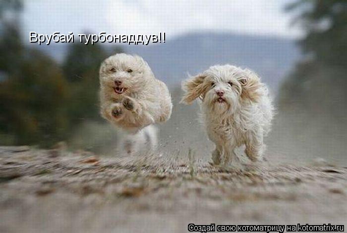 Врубай турбонаддув!!... Котоматрица: Врубай турбонаддув!!