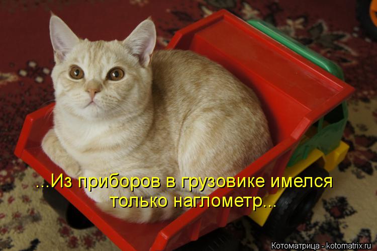 ...Из приборов в грузовике имелся только наглометр...... Котоматрица: ...Из приборов в грузовике имелся только наглометр...