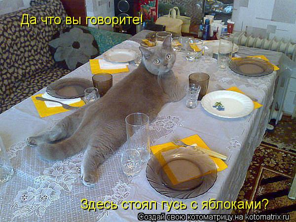 Да что вы говорите! Здесь стоял гусь с яблоками?... Котоматрица: Да что вы говорите! Здесь стоял гусь с яблоками?