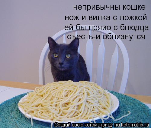 непривычны кошке нож и вилка с ложкой. ей бы пряио с блюдца съесть-и облизнутся... Котоматрица: непривычны кошке нож и вилка с ложкой. ей бы пряио с блюдца съесть-и облизнутся