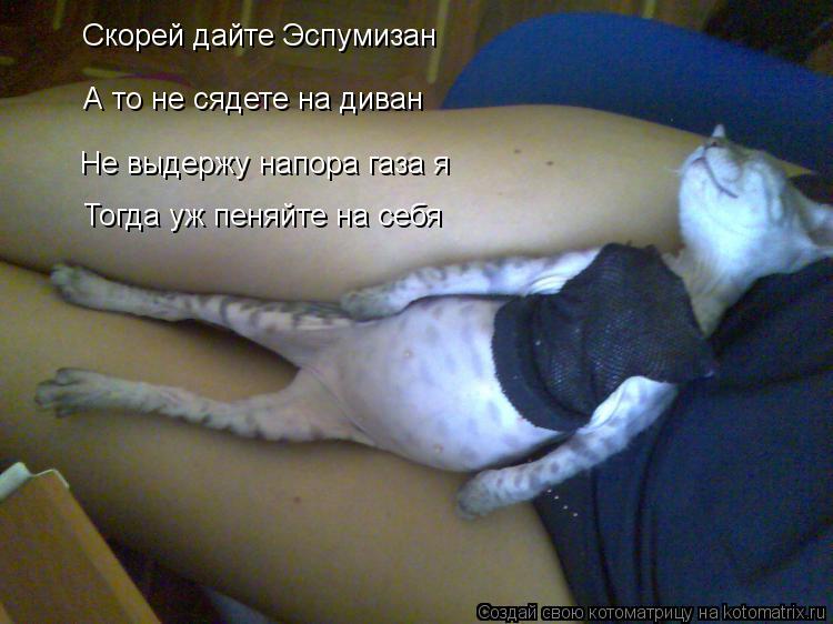 Скорей дайте Эспумизан А то не сядете на диван Не выдержу напора газа я Тогда уж пеняйте на себя... Котоматрица: Скорей дайте Эспумизан А то не сядете на диван Не выдержу напора газа я Тогда уж пеняйте на себя