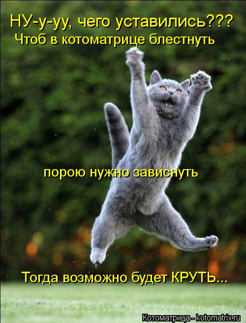 НУ-у-уу, чего уставились??? Чтоб в котоматрице блестнуть порою нужно зависнуть Тогда возможно будет К... Котоматрица: НУ-у-уу, чего уставились??? Чтоб в котоматрице блестнуть порою нужно зависнуть Тогда возможно будет КРУТЬ...