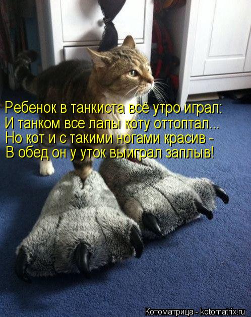 Ребенок в танкиста всё утро играл: И танком все лапы коту оттоптал... Но кот и с такими ногами красив... Котоматрица: Ребенок в танкиста всё утро играл: И танком все лапы коту оттоптал... Но кот и с такими ногами красив - В обед он у уток выиграл заплыв!