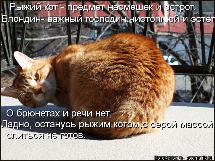 Рыжий кот - предмет насмешек и острот. Блондин- важный господин,чистоплюй и эстет. О брюнетах и речи ... Котоматрица: Рыжий кот - предмет насмешек и острот. Блондин- важный господин,чистоплюй и эстет. О брюнетах и речи нет. Ладно, останусь рыжим котом,с серой