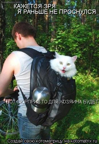 КАЖЕТСЯ ЗРЯ Я РАНЬШЕ НЕ ПРОСНУЛСЯ ВОТ СЮРПРИЗ ТО ДЛЯ ХОЗЯИНА БУДЕТ... Котоматрица: КАЖЕТСЯ ЗРЯ Я РАНЬШЕ НЕ ПРОСНУЛСЯ ВОТ СЮРПРИЗ ТО ДЛЯ ХОЗЯИНА БУДЕТ