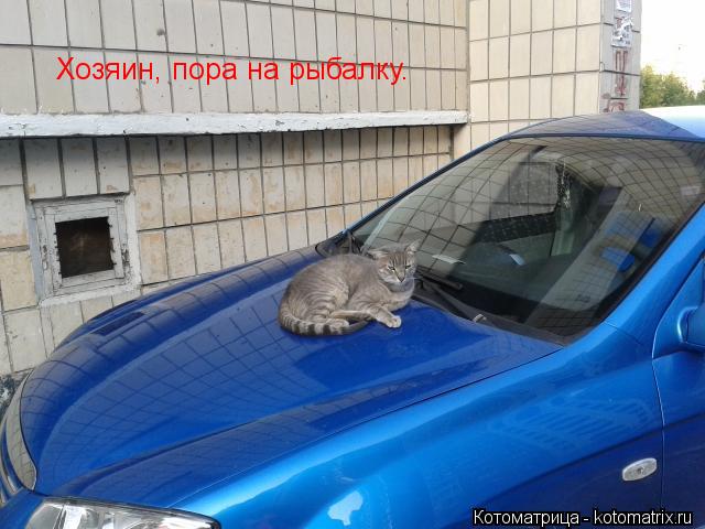 Хозяин, пора на рыбалку.... Котоматрица: Хозяин, пора на рыбалку.