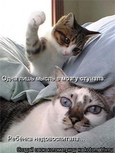 Одна лишь мысль в мозгу стучала: Ребёнка недовоспитала...... Котоматрица: Одна лишь мысль в мозгу стучала: Ребёнка недовоспитала...