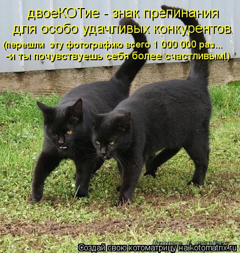 двоеКОТие - знак препинания для особо удачливых конкурентов (перешли эту фотографию всего 1 000 000 ... Котоматрица: двоеКОТие - знак препинания для особо удачливых конкурентов (перешли эту фотографию всего 1 000 000 раз... -и ты почувствуешь себя более счастл