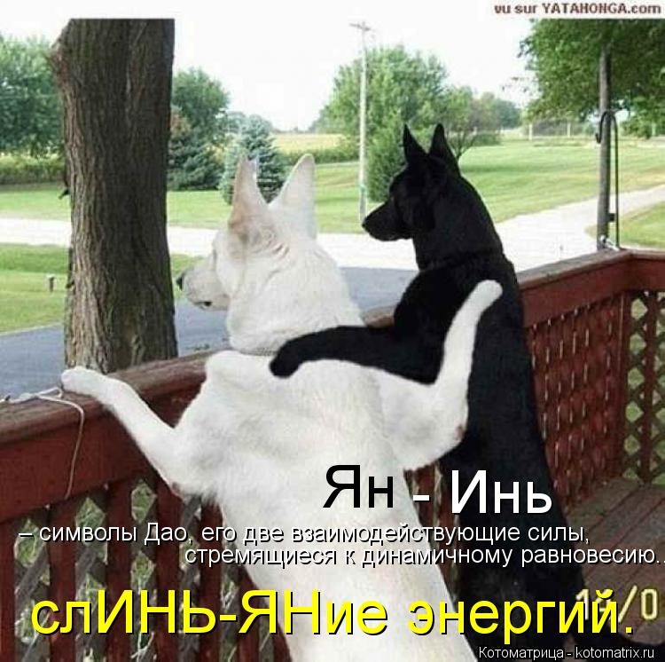 Ян - Инь – символы Дао, его две взаимодействующие силы, стремящиеся к динамичному равновесию... слИ... Котоматрица: Ян - Инь – символы Дао, его две взаимодействующие силы, стремящиеся к динамичному равновесию... слИНЬ-ЯНие энергий.