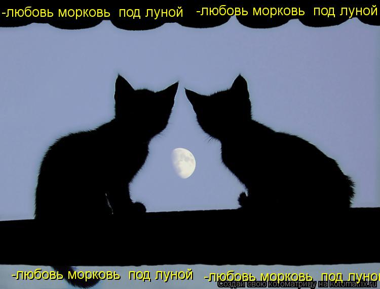 -любовь морковь под луной -любовь морковь под луной -любовь морковь под луной -любовь морковь под... Котоматрица: -любовь морковь под луной -любовь морковь под луной -любовь морковь под луной -любовь морковь под луной