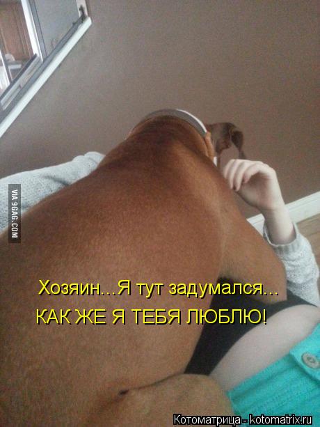 Хозяин...Я тут задумался... КАК ЖЕ Я ТЕБЯ ЛЮБЛЮ!... Котоматрица: Хозяин...Я тут задумался... КАК ЖЕ Я ТЕБЯ ЛЮБЛЮ!