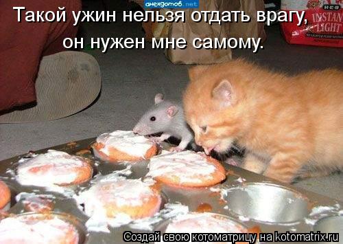 Такой ужин нельзя отдать врагу, он нужен мне самому.... Котоматрица: Такой ужин нельзя отдать врагу, он нужен мне самому.