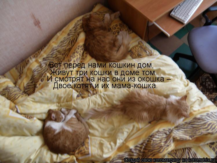 Вот перед нами кошкин дом, Живут три кошки в доме том. И смотрят на нас они из окошка – Двое кот... Котоматрица: Вот перед нами кошкин дом, Живут три кошки в доме том. И смотрят на нас они из окошка – Двое котят и их мама-кошка.
