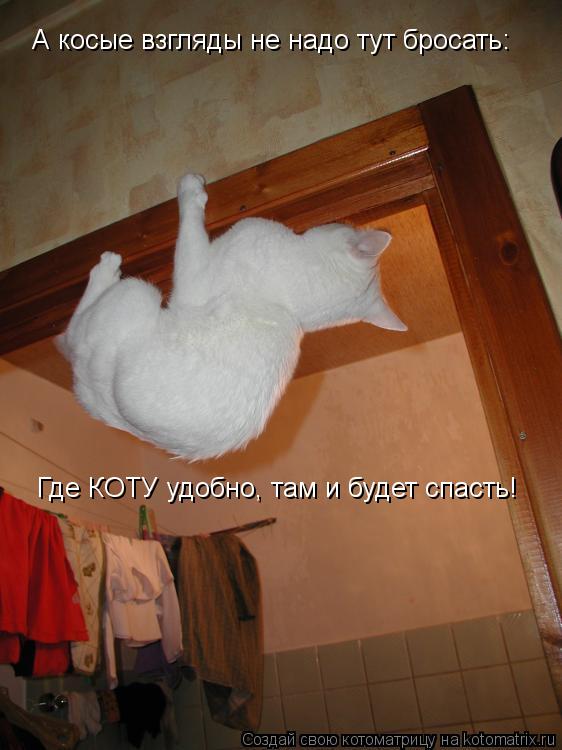 А косые взгляды не надо тут бросать: Где КОТУ удобно, там и будет спасть!... Котоматрица: А косые взгляды не надо тут бросать: Где КОТУ удобно, там и будет спасть!