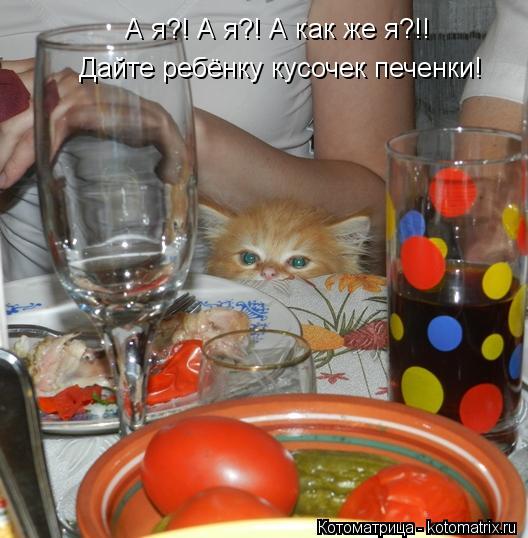 Дайте ребёнку кусочек печенки! А я?! А я?! А как же я?!!... Котоматрица: Дайте ребёнку кусочек печенки! А я?! А я?! А как же я?!!