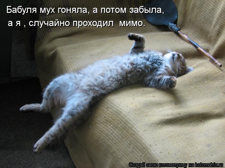 Бабуля мух гоняла, а потом забыла, а я , случайно проходил мимо.... Котоматрица: Бабуля мух гоняла, а потом забыла, а я , случайно проходил мимо.