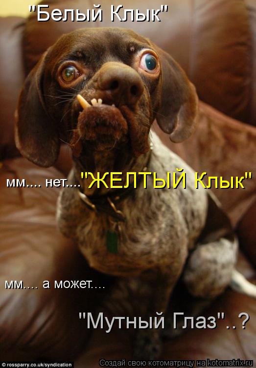 "Белый Клык" мм.... нет.... "ЖЕЛТЫЙ Клык" мм.... а может.... "Мутный Глаз"..?... Котоматрица: "Белый Клык" мм.... нет.... "ЖЕЛТЫЙ Клык" мм.... а может.... "Мутный Глаз"..?