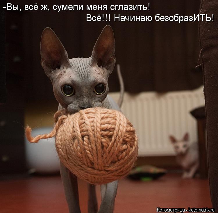 -Вы, всё ж, сумели меня сглазить! Всё!!! Начинаю безобразИТЬ!... Котоматрица: -Вы, всё ж, сумели меня сглазить! Всё!!! Начинаю безобразИТЬ!