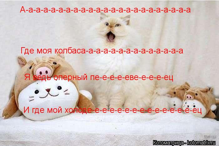 А-а-а-а-а-а-а-а-а-а-а-а-а-а-а-а-а-а-а-а-а-а-а Где моя колбаса-а-а-а-а-а-а-а-а-а-а-а-а-а Я ведь оперны... Котоматрица: А-а-а-а-а-а-а-а-а-а-а-а-а-а-а-а-а-а-а-а-а-а-а Где моя колбаса-а-а-а-а-а-а-а-а-а-а-а-а-а Я ведь оперный пе-е-е-е-еве-е-е-е-ец И где мой холоде-е-е-е-е-е-е-е-е-е