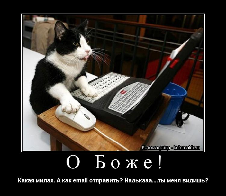 О Боже! Какая милая. А как email отправить? Надькааа....ты меня видишь?... Котоматрица: О Боже! Какая милая. А как email отправить? Надькааа....ты меня видишь?