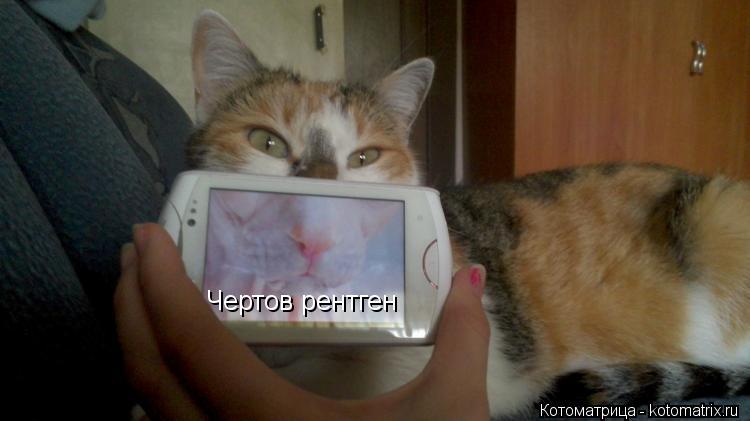 Чертов рентген... Котоматрица: Чертов рентген