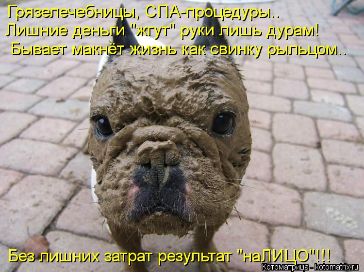 Грязелечебницы, СПА-процедуры.. Лишние деньги "жгут" руки лишь дурам! Без лишних затрат результат "на... Котоматрица: Грязелечебницы, СПА-процедуры.. Лишние деньги "жгут" руки лишь дурам! Без лишних затрат результат "наЛИЦО"!!! Бывает макнёт жизнь как свинку р