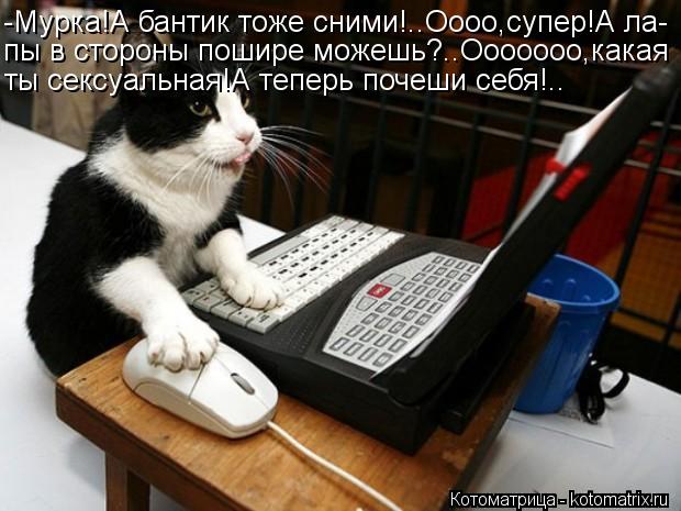 Котоматрица: -Мурка!А бантик тоже сними!..Оооо,супер!А ла- пы в стороны пошире можешь?..Ооооооо,какая ты сексуальная!А теперь почеши себя!..