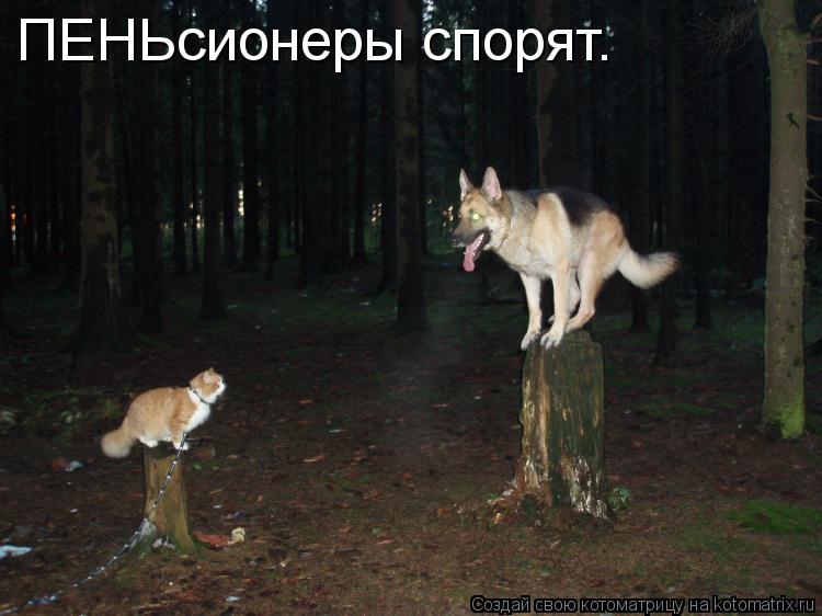 ПЕНЬсионеры спорят.... Котоматрица: ПЕНЬсионеры спорят.