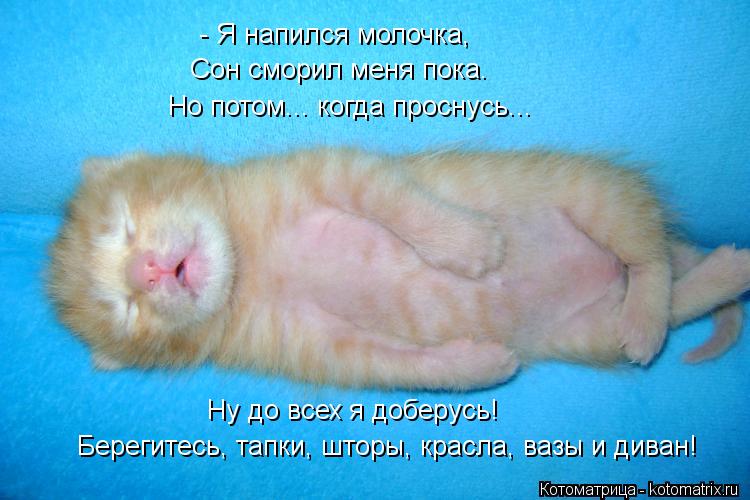 Котоматрица: - Я напился молочка, Сон сморил меня пока. Но потом... когда проснусь... Ну до всех я доберусь! Берегитесь, тапки, шторы, красла, вазы и диван!